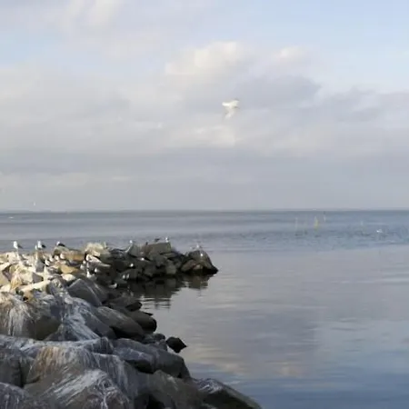 Lagunenstadt 3* Ueckermünde